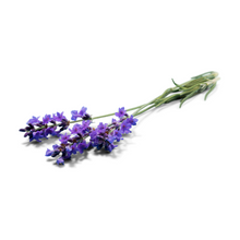 Afbeelding in Gallery-weergave laden, Biologische Lavendelolie - Daisy &amp; Rose
